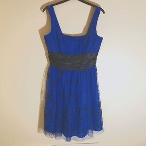 Roberta Royal Blue Lace Cocktail Dress Black Waistband Fit & Flare Prom Size 8